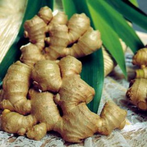 Củ gừng