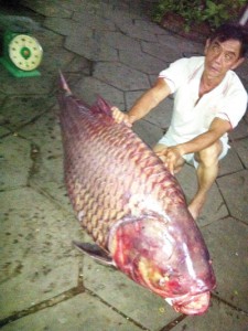 áº¢nh minh họa