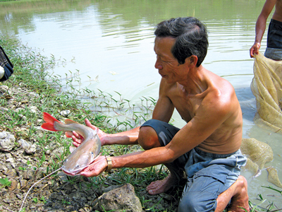 áº¢nh minh họa